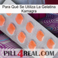 Para Qué Se Utiliza La Gelatina Kamagra 26